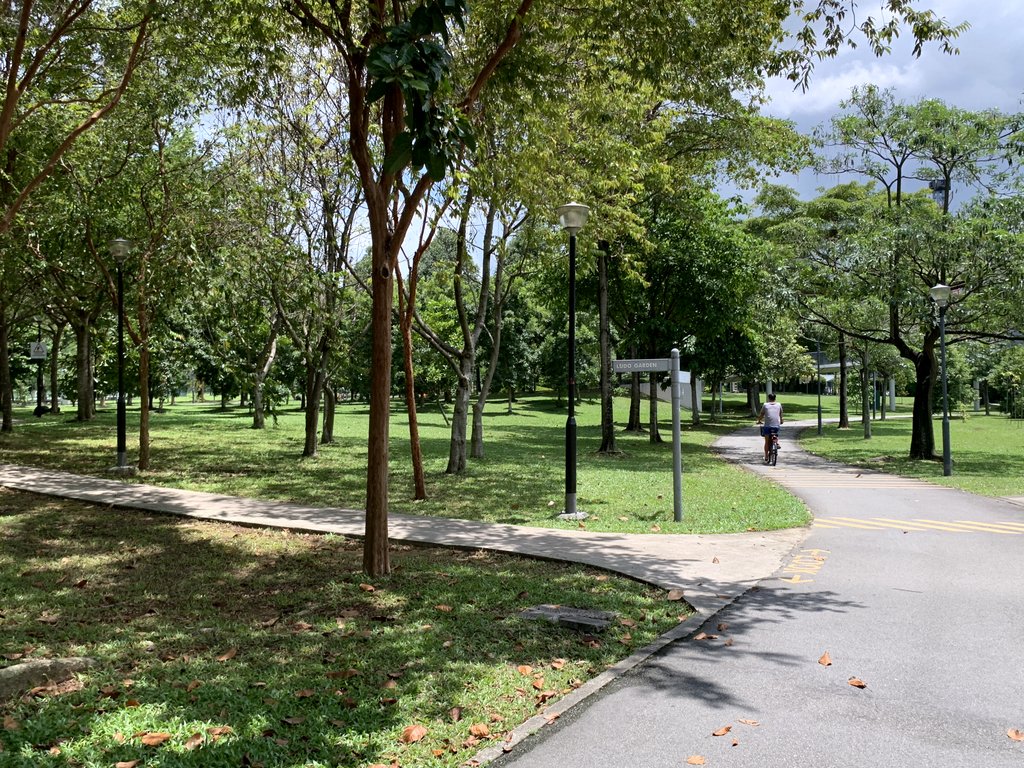 Jurong Central Park Drivethru McDonald - | Directions & How to get ...